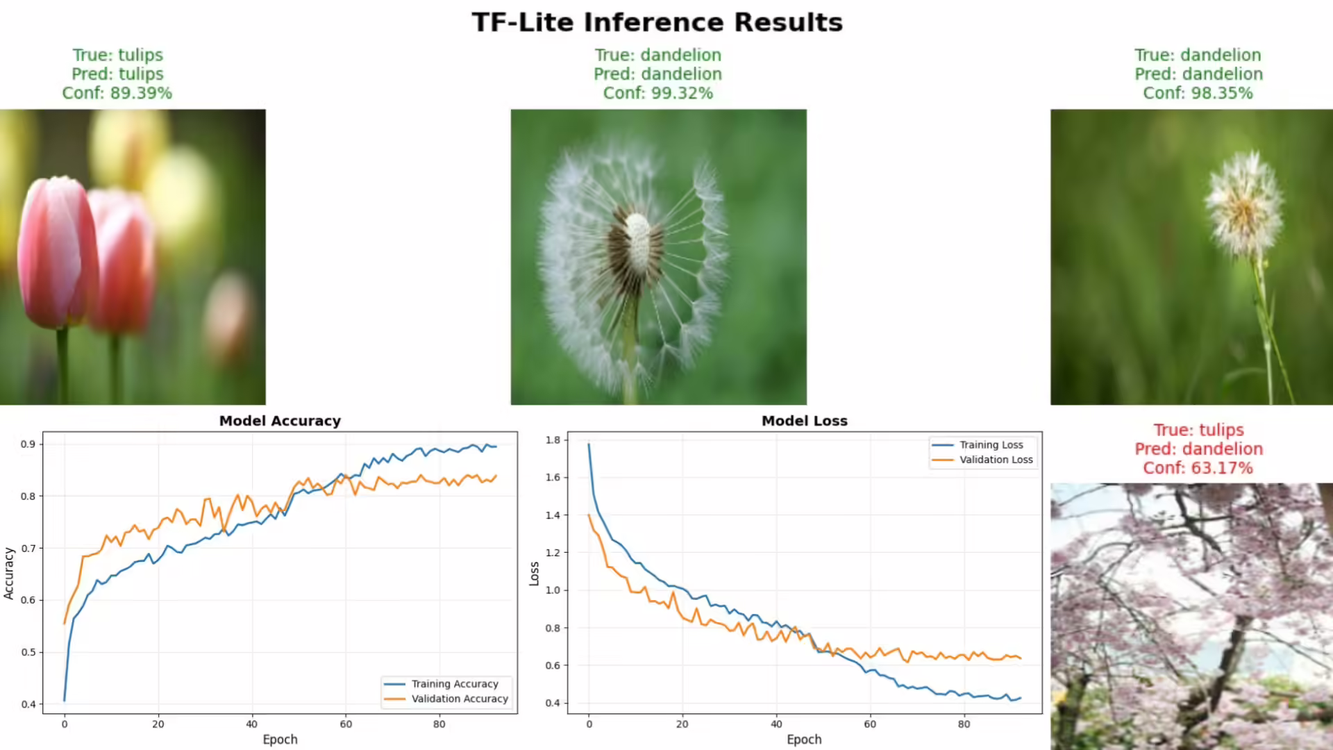 CNN Flower Classification